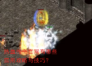 ��Ѫ�����������Щʵ�ù����뼼�ɣ�